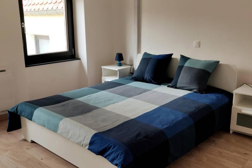 Le Blue, Appartement De Standing En Hyper-Centre Sarreguemines Exteriér fotografie